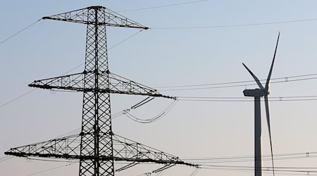 Schwankungen bei der Stromerzeugung sollen mit Batteriespeichern ausgeglichen und Engpässe im Stromnetz vermieden werden. (Symbolbild)  / Foto: Bernd Wüstneck/dpa
