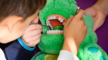 Bis zu ihrem sechsten Lebensjahr können Kinder sechs kostenfreie Früherkennungsuntersuchungen nutzen. (Archivbild) / Foto: Bernd von Jutrczenka/dpa