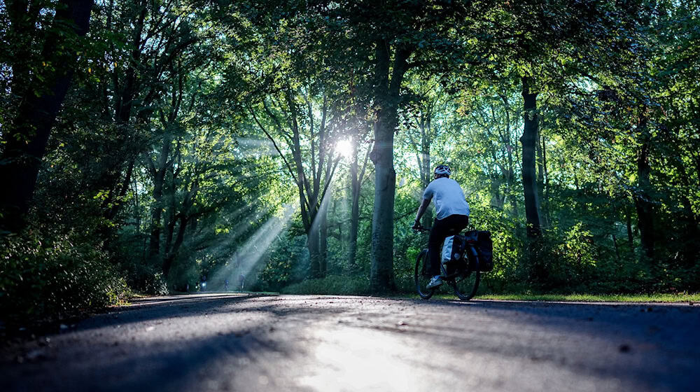 Am Wochenende zeigt sich die Sonne, aber es ziehen auch Wolken und Regen auf. (Archivbild) / Foto: Kay Nietfeld/dpa