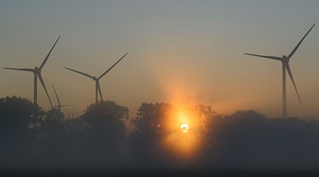 Am Wochenende gibt es in Berlin und Brandenburg wechselhaftes Spätsommerwetter mit Sonne und vielen Wolken. (Archivbild) / Foto: Patrick Pleul/dpa/ZB