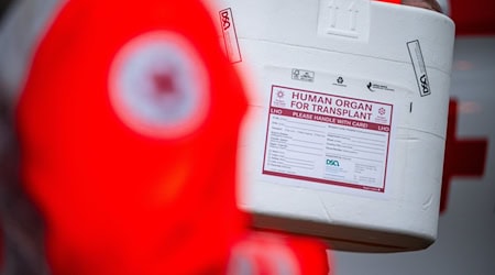 Organspende-Zahlen sind im Nordosten Deutschlands rückläufig. (Symbolbild) / Foto: Sebastian Gollnow/dpa