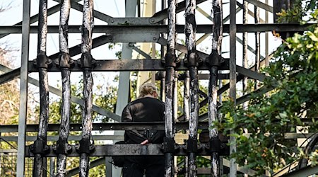 Die Polizei ermittelt zu einem Brandanschlag auf Strommasten in Berlin. / Foto: Jens Kalaene/dpa