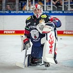 Goalie Jonas Stettmer konnte die Niederlage der Eisbären Berlin in Salzburg nicht verhindern. / Foto: Soeren Stache/dpa
