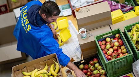 Auch Bananen und Äpfel kommen dieses Jahr mit in die Brotbox.  / Foto: Fabian Sommer/dpa