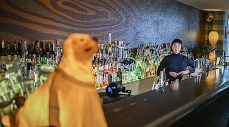 Die Bar «Green Door» mit langem Holztresen beschreibt sich selbst als American Bar und befindet sich in Berlin in der Winterfeldtstraße in Schöneberg. / Foto: Jens Kalaene/dpa