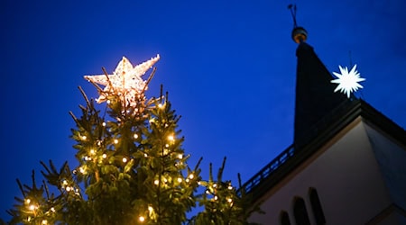 Die Stadt Beelitz spart an Weihnachtsbäumen: Die Exemplare für die Marktplätze fallen in diesem Jahr kleiner aus. (Archivbild) / Foto: Jens Kalaene/dpa-Zentralbild/ZB