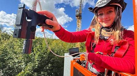 Für Pia Kräft ist die Gondel am 45 Meter hohen Drehkran, der zu Forschungszwecken in einem Wald bei Demmin steht, der «schönste Arbeitsplatz, den man sich vorstellen kann». / Foto: Stefan Sauer/dpa