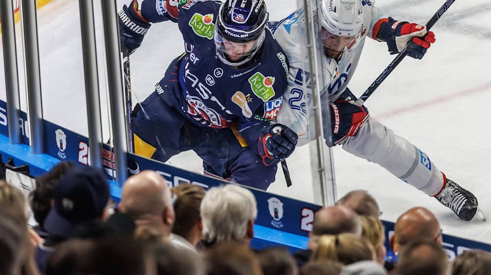 Die Duelle zwischen den Eisbären Berlin und den Adler Mannheim waren zuletzt hart umkämpft. (Archivbild) / Foto: Andreas Gora/dpa Die Duelle zwischen den Eisbären Berlin und den Adler Mannheim waren zuletzt hart umkämpft. (Archivbild) / Foto: Andreas Gora/dpa