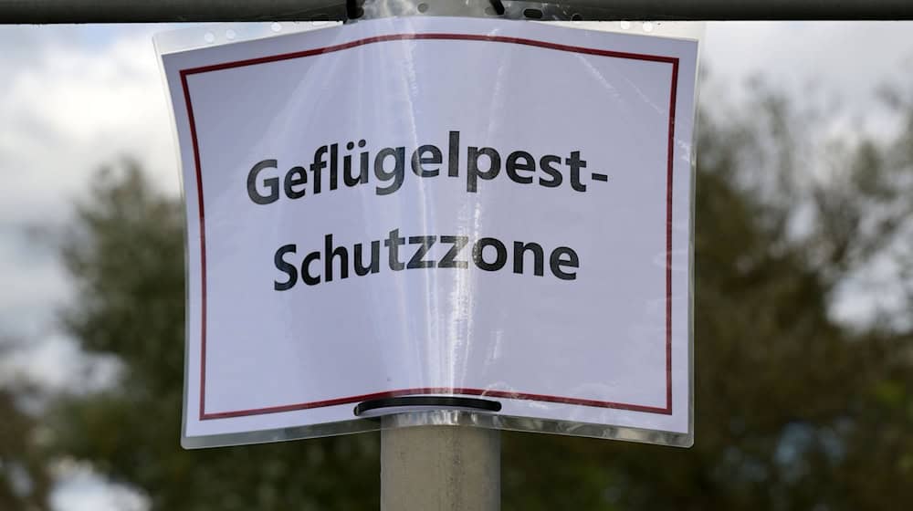 Ein Aushang weist auf eine Schutzzone nach einem Geflügelpest-Ausbruch in Roskow im Kreis Potsdam-Mittelmark hin. (Symbolbild) / Foto: Michael Bahlo/dpa