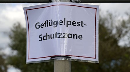 Ein Aushang weist auf eine Schutzzone nach einem Geflügelpest-Ausbruch in Roskow im Kreis Potsdam-Mittelmark hin. (Symbolbild) / Foto: Michael Bahlo/dpa
