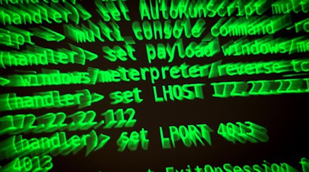 Nach Cyberangriffen müssen Stadtverwaltungen oft im Notbetrieb arbeiten, weil ihre IT-Systeme ausfallen. (Symbolbild)  / Foto: Sina Schuldt/dpa