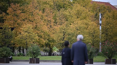 Der Berliner Klimaschutzrat warnt vor Kürzungen im Berliner Haushalt. (Symbolbild) / Foto: Britta Pedersen/dpa