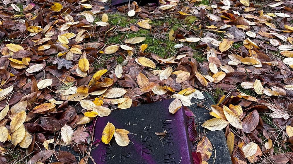 Unbekannte haben Dutzende Kriegsgräber auf dem Friedhof Reinickendorf beschmiert. / Foto: Bezirksamt Reinickendorf/dpa Unbekannte haben Dutzende Kriegsgräber auf dem Friedhof Reinickendorf beschmiert. / Foto: Bezirksamt Reinickendorf/dpa