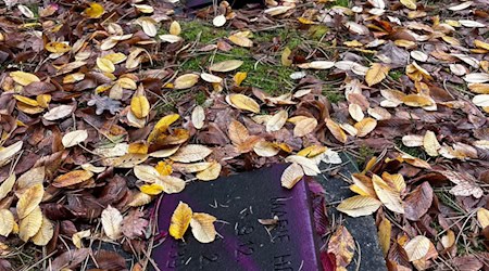 Unbekannte haben Dutzende Kriegsgräber auf dem Friedhof Reinickendorf beschmiert. / Foto: Bezirksamt Reinickendorf/dpa