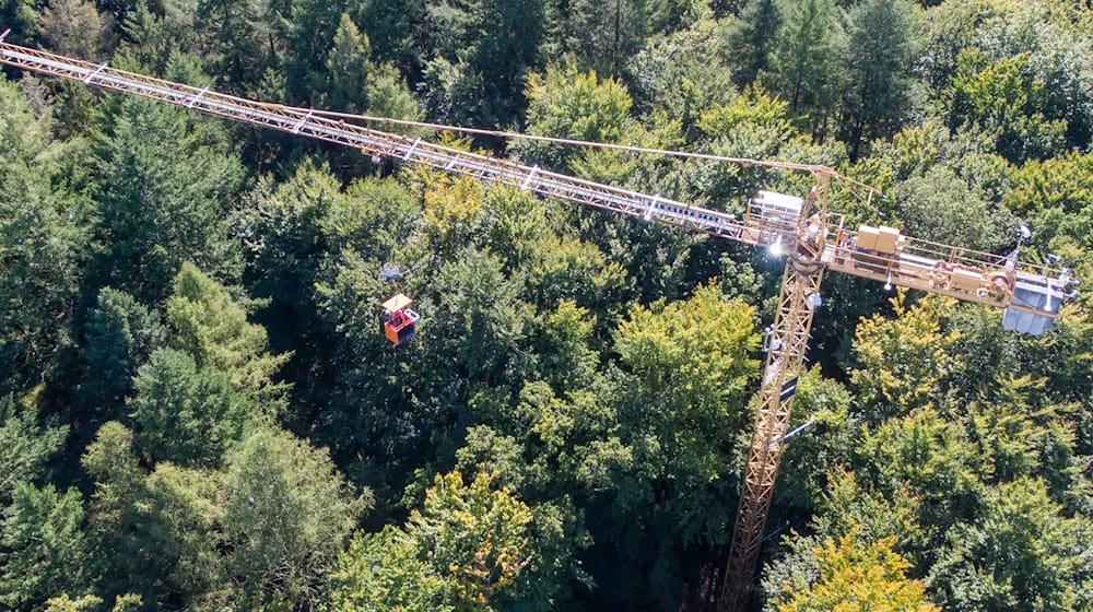 In einem Waldstück bei Demmin untersuchen Wissenschaftler und Wissenschaftlerinnen von Einrichtungen aus Mecklenburg-Vorpommern, Brandenburg und Berlin Bäume detailliert von den Wurzeln bis zur Krone - unter anderem mit einem 45 Meter hohen Drehkran. / Foto: Stefan Sauer/dpa