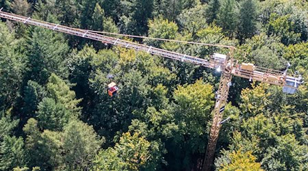 In einem Waldstück bei Demmin untersuchen Wissenschaftler und Wissenschaftlerinnen von Einrichtungen aus Mecklenburg-Vorpommern, Brandenburg und Berlin Bäume detailliert von den Wurzeln bis zur Krone - unter anderem mit einem 45 Meter hohen Drehkran. / Foto: Stefan Sauer/dpa