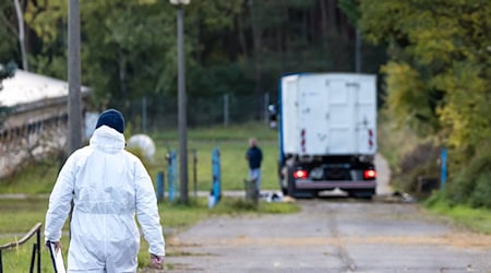 Experten in Schutzanzügen sind in Neuhardenberg im Einsatz, weil dort 80.000 Enten in einem Betrieb wegen der Vogelgrippe getötet werden müssen.  / Foto: Frank Hammerschmidt/dpa Experten in Schutzanzügen sind in Neuhardenberg im Einsatz, weil dort 80.000 Enten in einem Betrieb wegen der Vogelgrippe getötet werden müssen.  / Foto: Frank Hammerschmidt/dpa