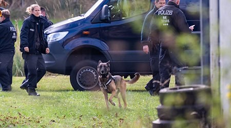 Leichenspürhund durchsuchen das Grundstück. / Foto: Christophe Gateau/dpa