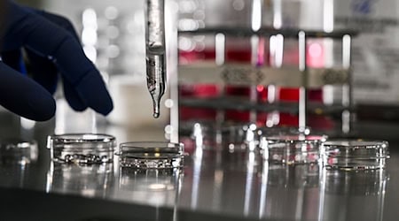 Die Berlin Science Week läuft vom 1. bis zum 10. November. (Symbolbild) / Foto: Jens Kalaene/dpa Die Berlin Science Week läuft vom 1. bis zum 10. November. (Symbolbild) / Foto: Jens Kalaene/dpa