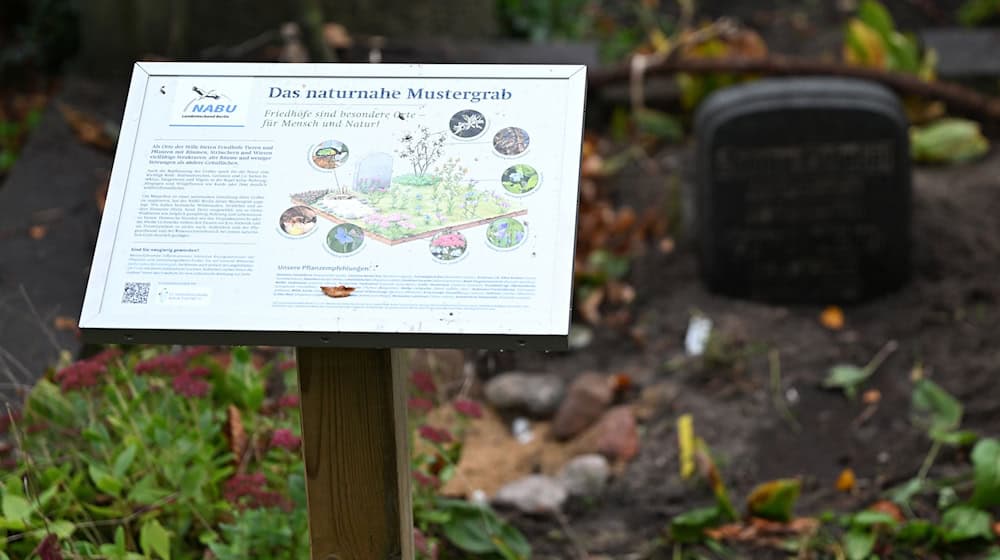 Naturnahes Mustergrab in Berlin. / Foto: Lilli Förter/dpa