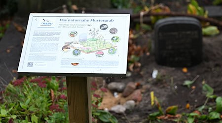 Naturnahes Mustergrab in Berlin. / Foto: Lilli Förter/dpa