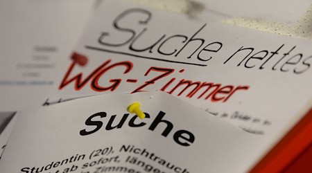 Die Preislage hat sich in Berlin laut neuesten Zahlen entgegen dem Bundestrend entwickelt. (Symbolbild) / Foto: picture alliance / Felix Kästle/dpa
