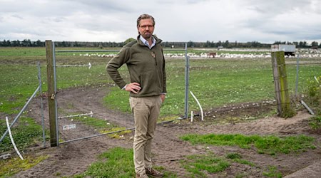 Der Betriebsleiter des Spargelhofs Kremmen, Malte Voigts, muss den Verlust seiner Gänse und Enten wegen der Vogelgrippe verkraften.   / Foto: Fabian Sommer/dpa