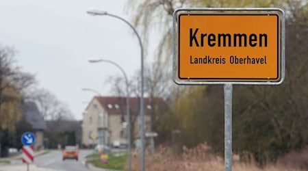 In Kremmen im Kreis Oberhavel ist in einer Gänse-Haltung die für Vögel hoch ansteckende Geflügelpest nachgewiesen worden. (Archivbild) / Foto: Soeren Stache/dpa