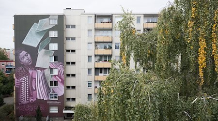 Dieses Wandbild erinnert nun an die NS-Widerstandskämpferin Maria Terwiel. / Foto: Sebastian Christoph Gollnow/dpa