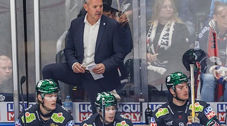 Eisbären-Trainer Serge Aubin muss auf Neuzugang Khodorenko verzichten. / Foto: Andreas Gora/dpa
