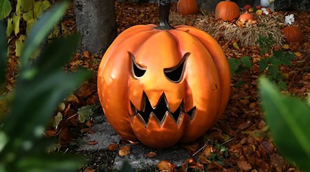Der Handelsverband Berlin-Brandenburg schätzt, dass die Umsätze zu Halloween knapp das Vorjahresniveau erreichen. (Symbolbild) / Foto: Felix Hörhager/dpa Der Handelsverband Berlin-Brandenburg schätzt, dass die Umsätze zu Halloween knapp das Vorjahresniveau erreichen. (Symbolbild) / Foto: Felix Hörhager/dpa