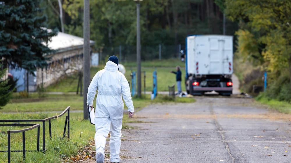 Wegen der Vogelgrippe wurden bereits Zehntausende Enten und Masthähnchen getötet. (Archivbild)   / Foto: Frank Hammerschmidt/dpa Wegen der Vogelgrippe wurden bereits Zehntausende Enten und Masthähnchen getötet. (Archivbild)   / Foto: Frank Hammerschmidt/dpa