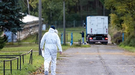 Wegen der Vogelgrippe wurden bereits Zehntausende Enten und Masthähnchen getötet. (Archivbild)   / Foto: Frank Hammerschmidt/dpa Wegen der Vogelgrippe wurden bereits Zehntausende Enten und Masthähnchen getötet. (Archivbild)   / Foto: Frank Hammerschmidt/dpa