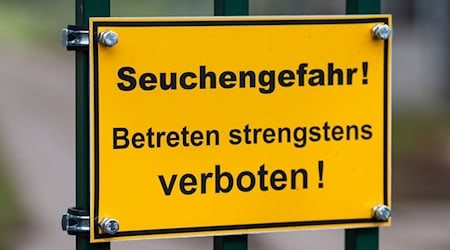 Die Vogelgrippe stürzt viele Reginoen in die Krise. Im Linumer Teichland müssen Helfer wegen der Tierseuche massenhaft tote Kraniche beseitigen.  / Foto: Christophe Gateau/dpa
