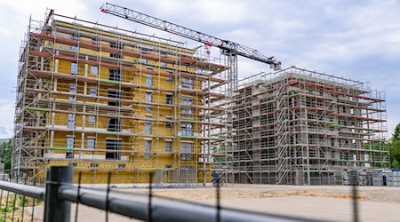 Der Wohnungsneubau gerät nach Angaben des Verbands Berlin-Brandenburgischer Wohnungsunternehmen (BBU) ins Stocken. (Archivbild) / Foto: Patrick Pleul/dpa
