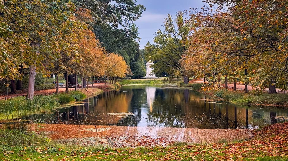 Herbstlich mild und stark bewölkt soll es in Berlin und Brandenburg werden. (Archivbild) / Foto: Paul Zinken/dpa
