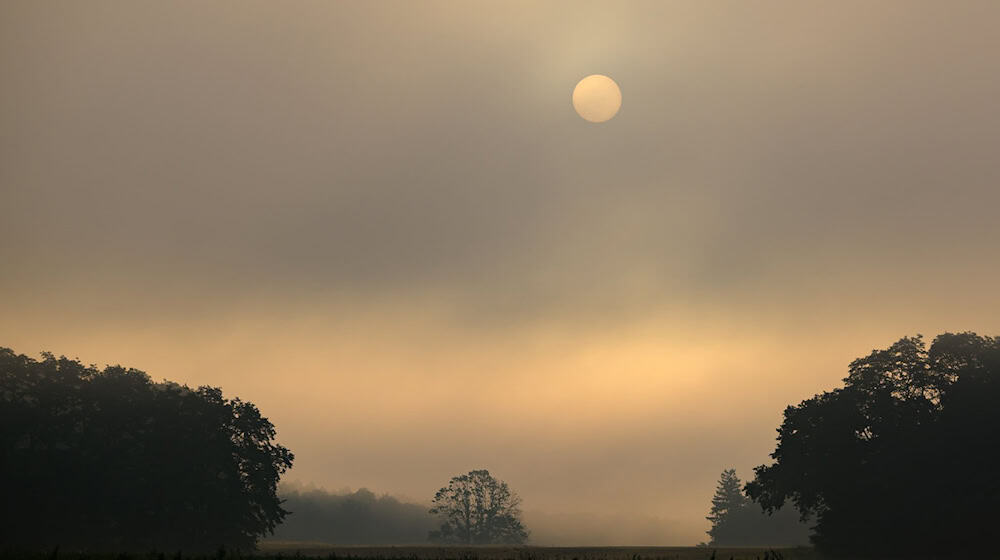 Wolken prägen das Wochenende in Berlin und Brandenburg – meist ist es trocken, aber nur selten sonnig. (Archivbild) / Foto: Patrick Pleul/dpa