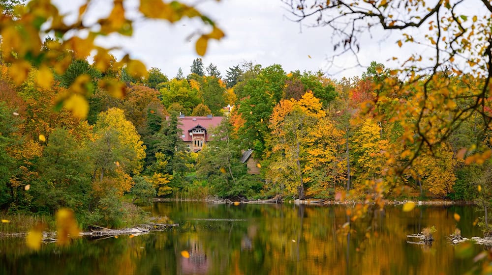 Am Mittwoch bleibt es in Berlin und Brandenburg weitgehend trocken. (Archivbild) / Foto: Patrick Pleul/dpa