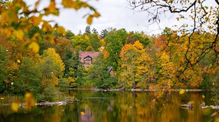 Am Mittwoch bleibt es in Berlin und Brandenburg weitgehend trocken. (Archivbild) / Foto: Patrick Pleul/dpa Am Mittwoch bleibt es in Berlin und Brandenburg weitgehend trocken. (Archivbild) / Foto: Patrick Pleul/dpa