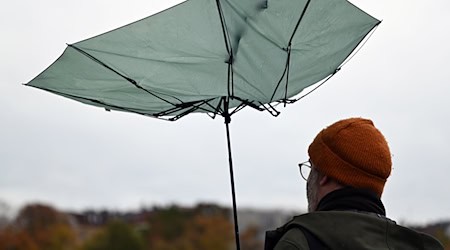 Starke Wolken und gelegentlich etwas Regen erwartet der DWD für Dienstag und Mittwoch. (Symbolbild) / Foto: Lilli Förter/dpa