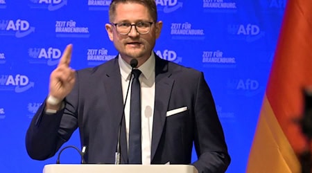 Brandenburgs AfD-Landesvorsitzender René Springer nennt eine Regierungsübernahme als Ziel seiner Partei. / Foto: Michael Bahlo/dpa