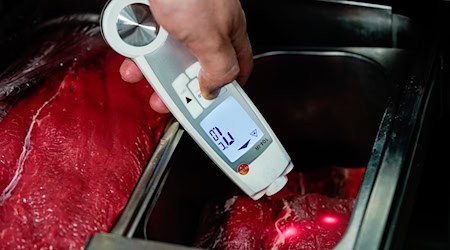 Lebensmittelkontrolleure stellen sich zu Beginn einer Kontrolle immer mit ihrem Namen vor und zeigen ihren Dienstausweis. (Symbolbild) / Foto: Uwe Anspach/dpa