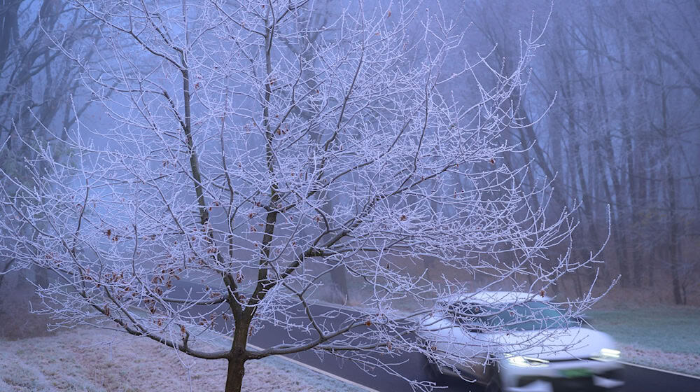 In kalten Nächten ist die Landschaft mit Raureif überzogen. / Foto: Patrick Pleul/dpa