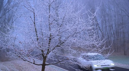 In kalten Nächten ist die Landschaft mit Raureif überzogen. / Foto: Patrick Pleul/dpa