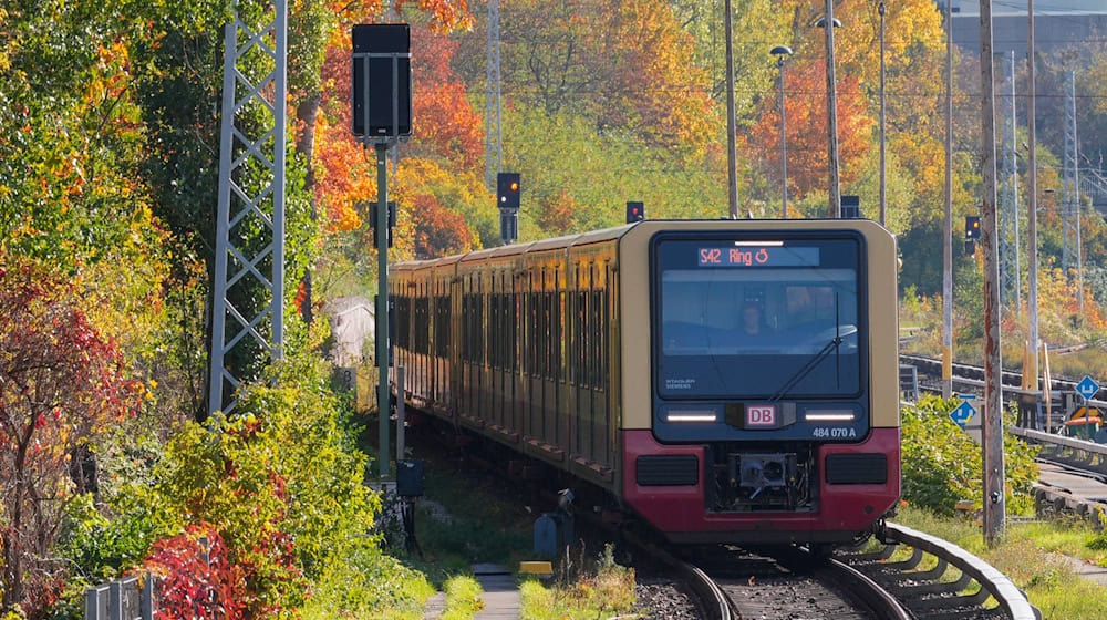  Bauarbeiten sorgen am Wochenende für Einschränkungen bei der S-Bahn. (Symbolbild)  / Foto: Soeren Stache/dpa