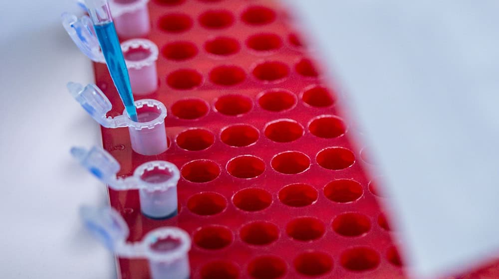 Die Berlin Science Week läuft bis zum 10. November. (Symbolbild) / Foto: Jens Büttner/dpa