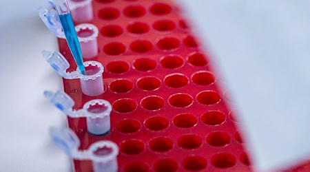 Die Berlin Science Week läuft bis zum 10. November. (Symbolbild) / Foto: Jens Büttner/dpa Die Berlin Science Week läuft bis zum 10. November. (Symbolbild) / Foto: Jens Büttner/dpa