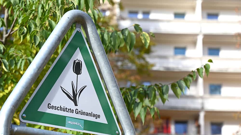 Laut dem neuen Klimaanpassungsgesetz soll es in Berlin mehr Bäume und mehr «Kühlinseln» in Form von Grünanlagen geben.  / Foto: Elisa Schu/dpa