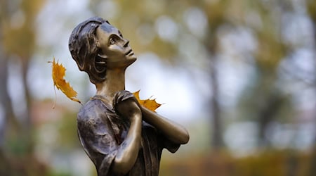 Der Gesamtwert der Beute beträgt laut Staatsanwaltschaft mindestens rund 411.000 Euro. (Symbolbild) / Foto: Thomas Warnack/dpa