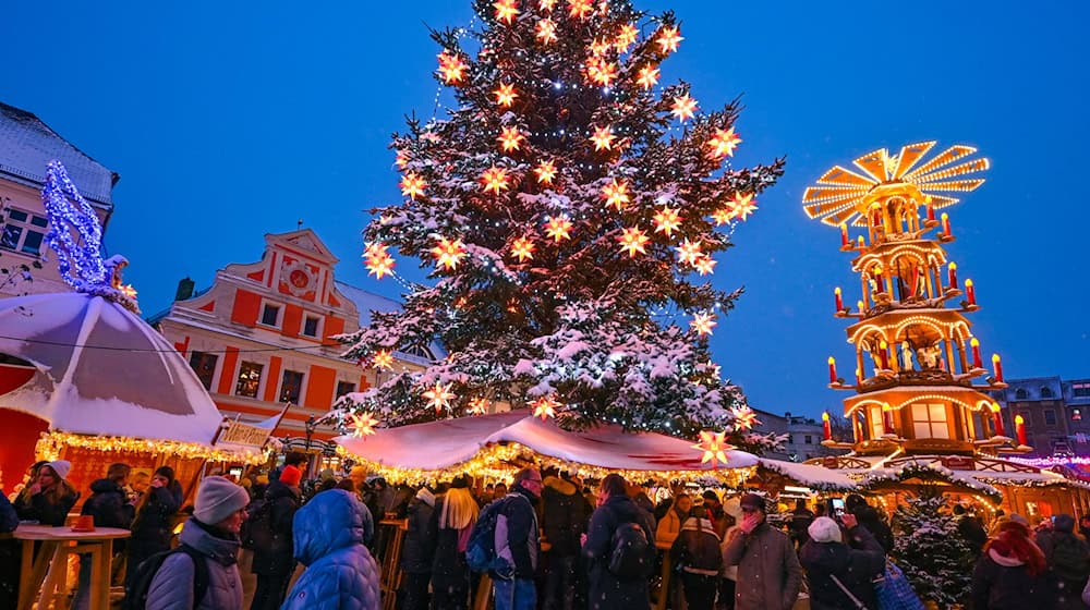 Der Cottbuser Weihnachtsmarkt ist für seine vielen leuchtenden Sterne bekannt. (Archivbild) / Foto: Patrick Pleul/dpa/ZB